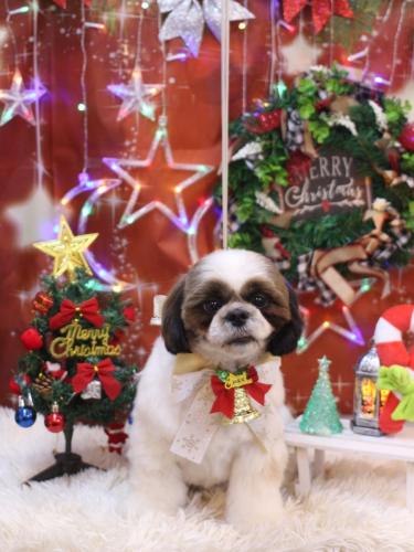 20231202うーたんくん